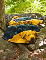 Ramatex Blanket Throws