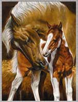 Ramatex Blanket Throws