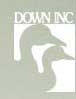 Down Inc.